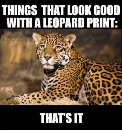 Leopard Meme Chameleon Memes