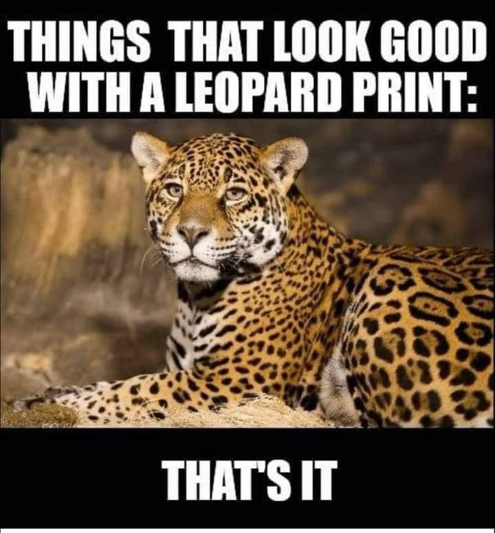 Leopard print meme