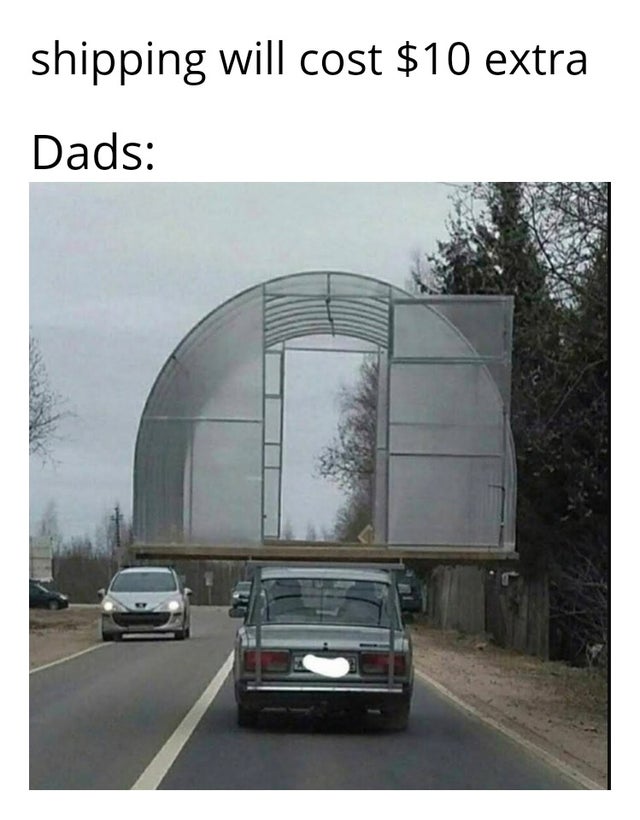 When The Shipping Costs Bother Dads 1 shipping costs meme