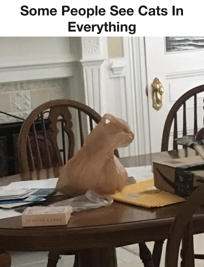 some people see cats in everything