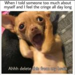 regret memes