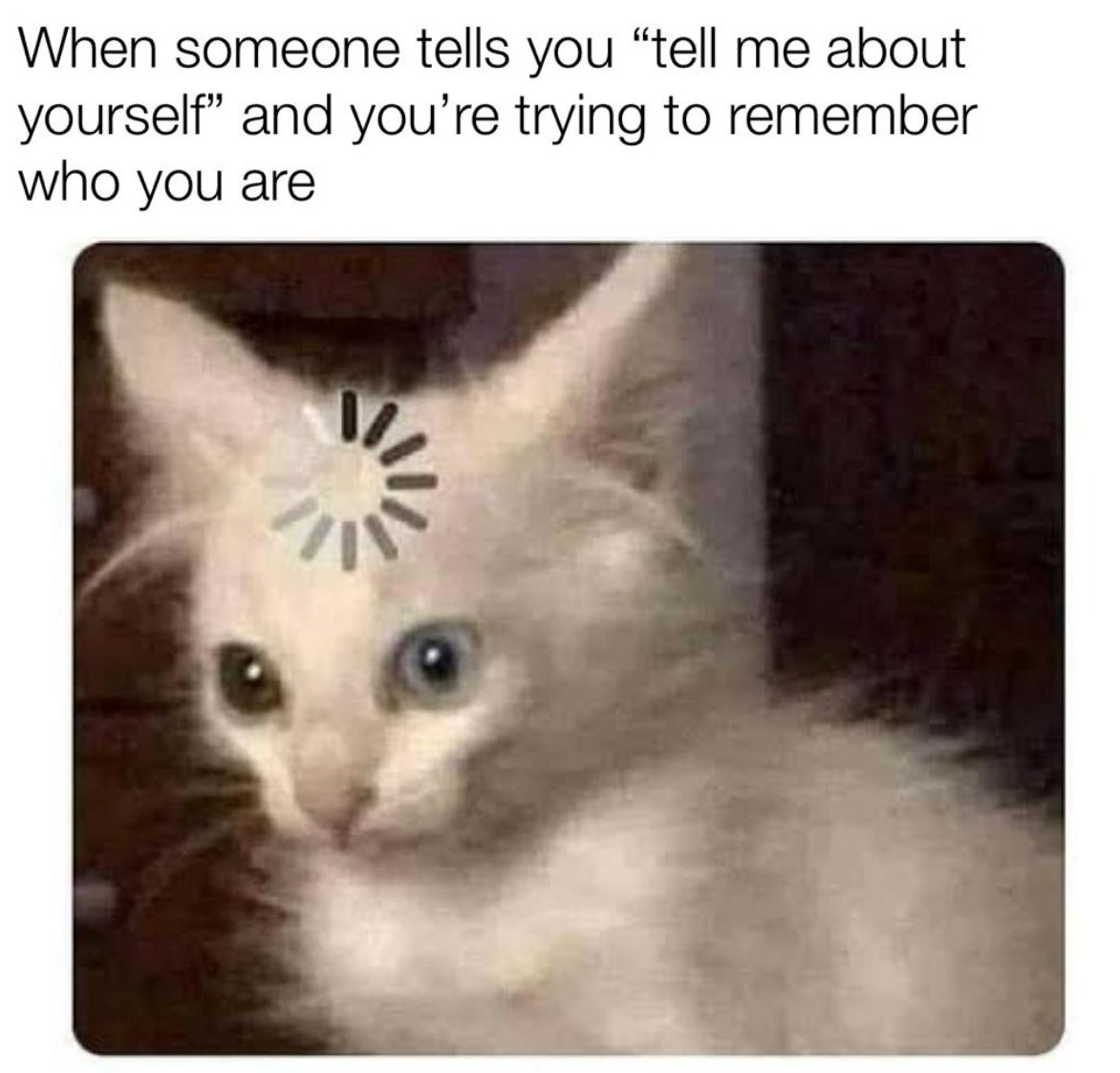 tell me about yourself meme - Chameleon Memes