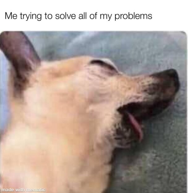 solving problems meme - Chameleon Memes