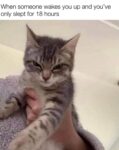 when someone wakes you up meme