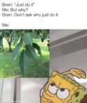 Brain just do it meme