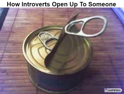 Top 25 Introvert Memes That Every Introverted Soul Will Relate To 1 how introverts open up to someone