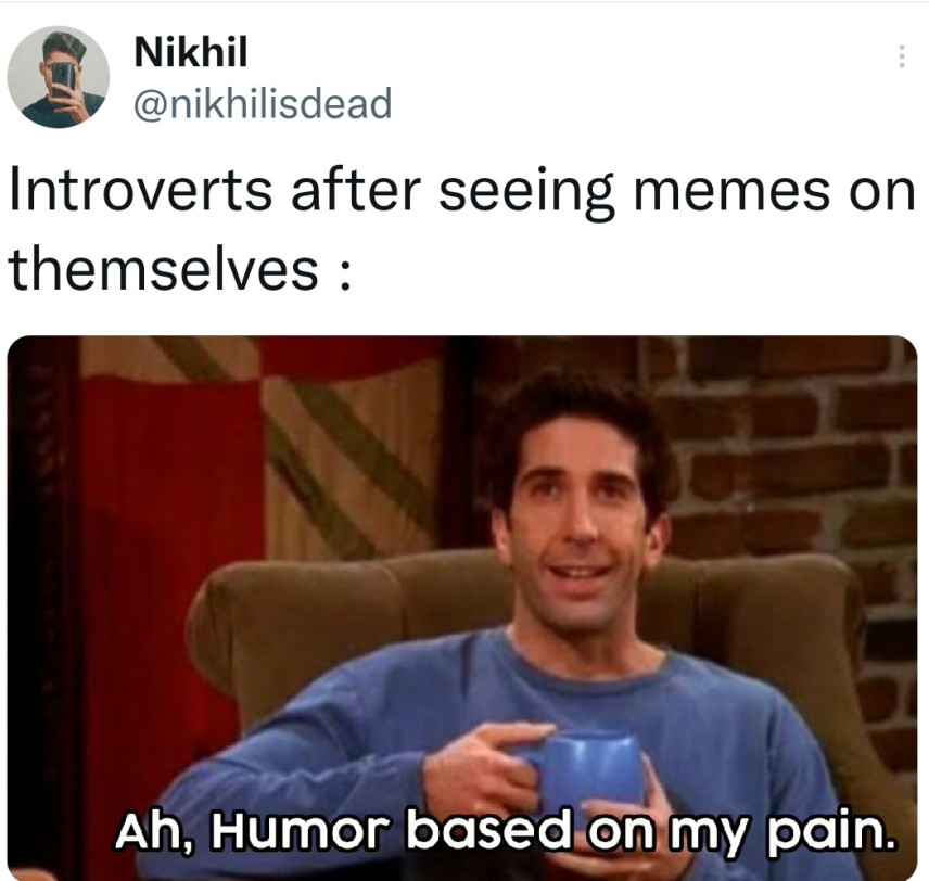 Top 25 Introvert Memes That Every Introverted Soul Will Relate To 16 Introverts after seeing memes on themselves