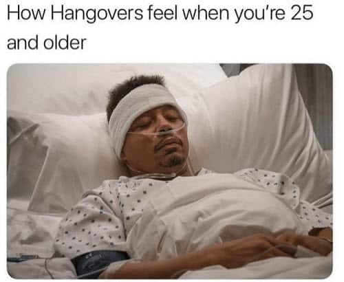 23 Hangover Memes That Very Well Captures The Pain Of Being In A Hungover 9 hangover-feels-memes
