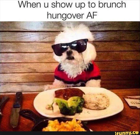 23 Hangover Memes That Very Well Captures The Pain Of Being In A Hungover 15 me show up to a brunch hangover AF meme