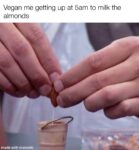 almond milk meme