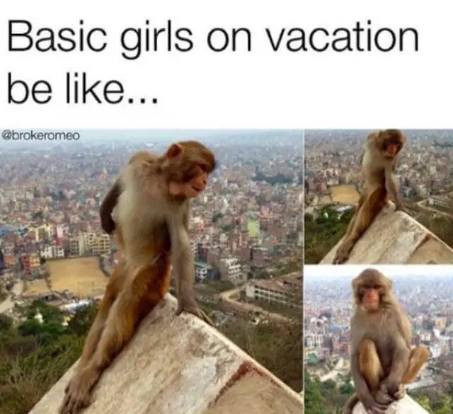 Basic girls on vacation