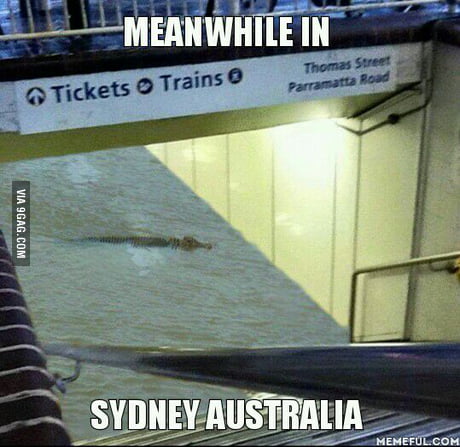 23 Bizarre "Meanwhile In Australia Memes" 17 Crocodile in subway - Meanwhile In Australia Memes