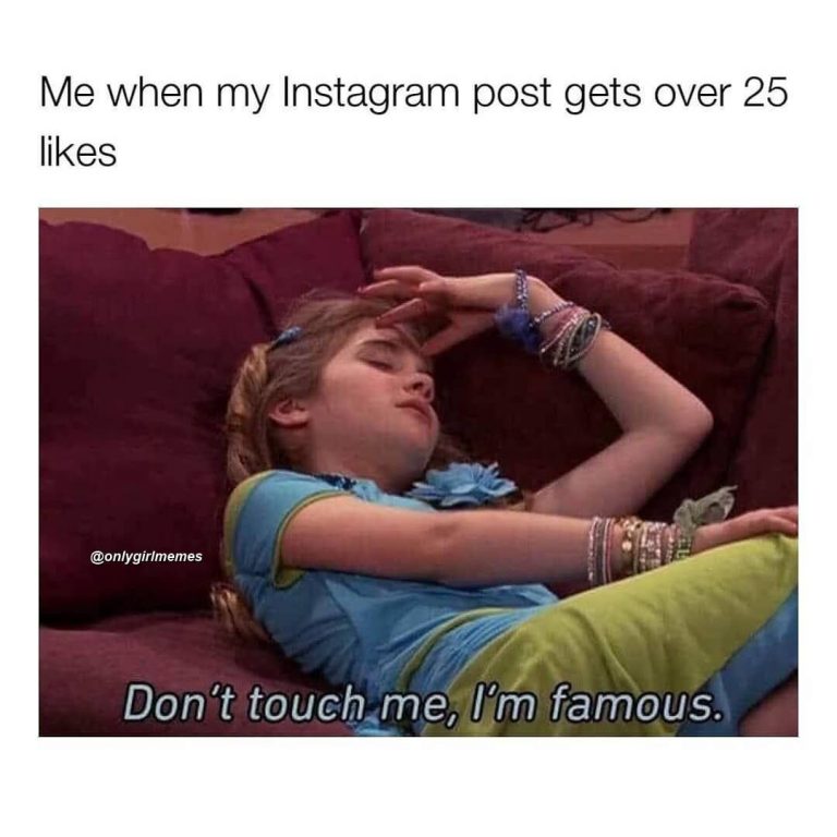 22 Hilarious Women Memes That Every Women Will Relate To 1 Don't touch me I'm famous