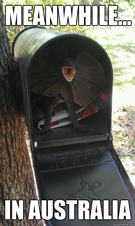 23 Bizarre "Meanwhile In Australia Memes" 16 Dragon in letter box - Meanwhile In Australia Memes