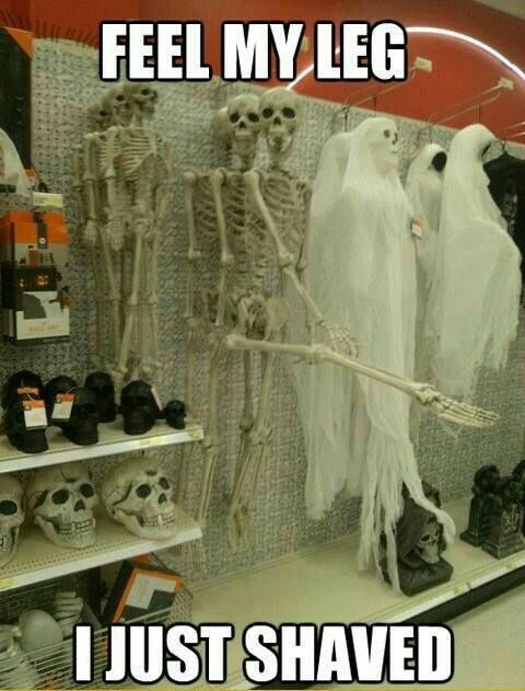 20 Funny Halloween Memes Of All Time 3 Feel my legs i just shaved it halloween memes