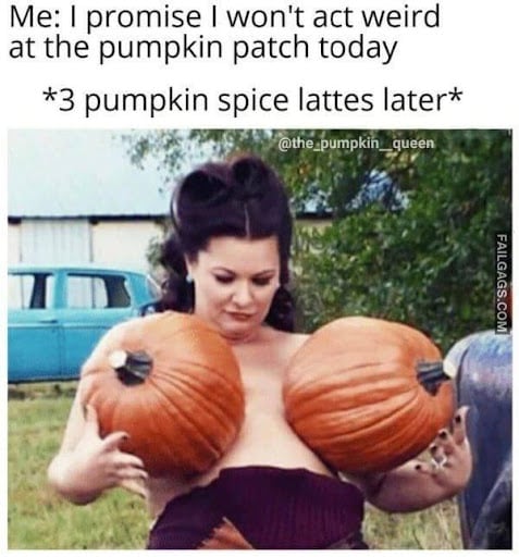 20 Funny Halloween Memes Of All Time 20 In promise I wont act weird at the pumpking patch today halloween memes