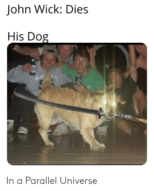 20 Best "Meanwhile In A Parallel Universe Memes" 5 John Wick dies meme