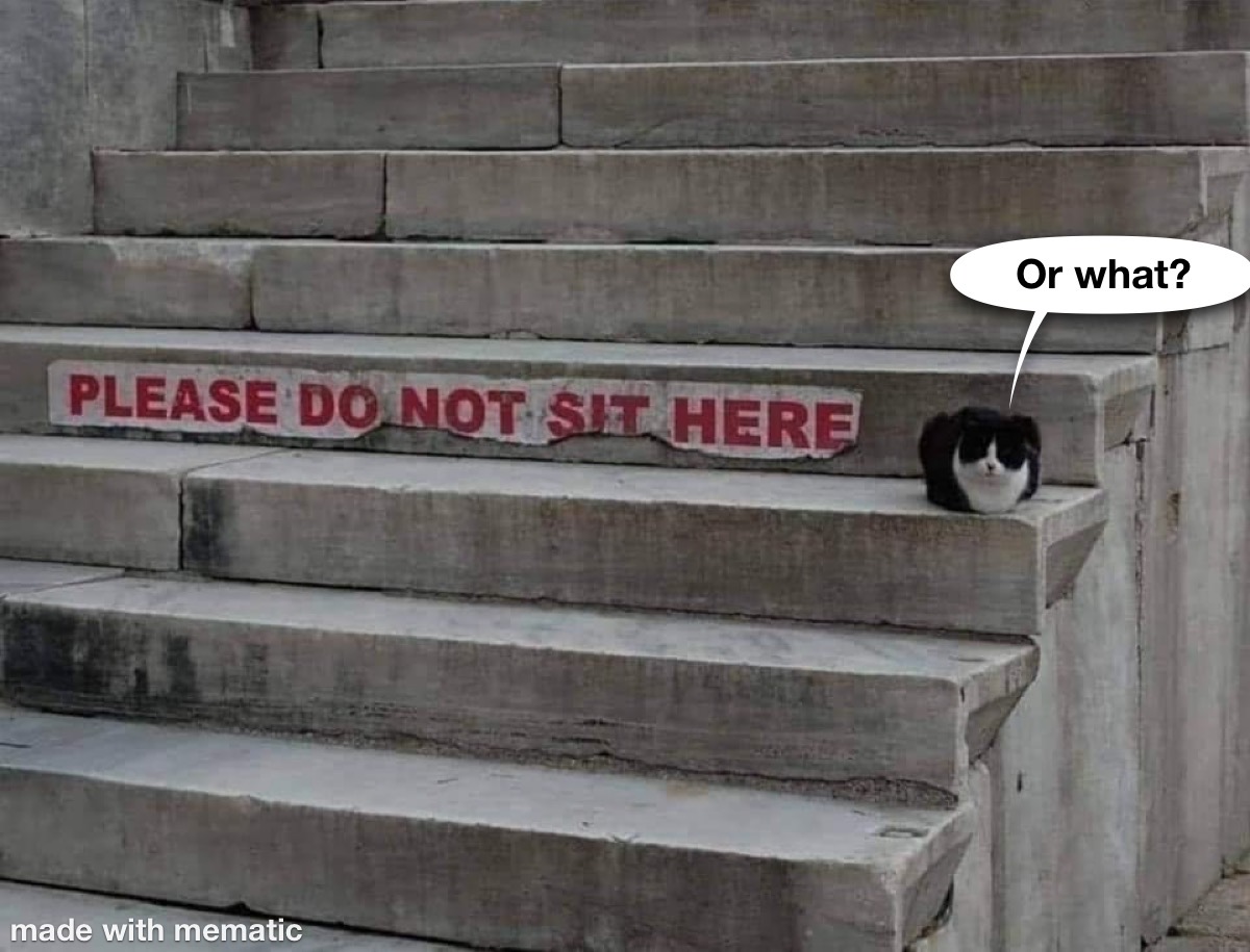 Okay, Only Can Sit Here 1 Please do not sit here