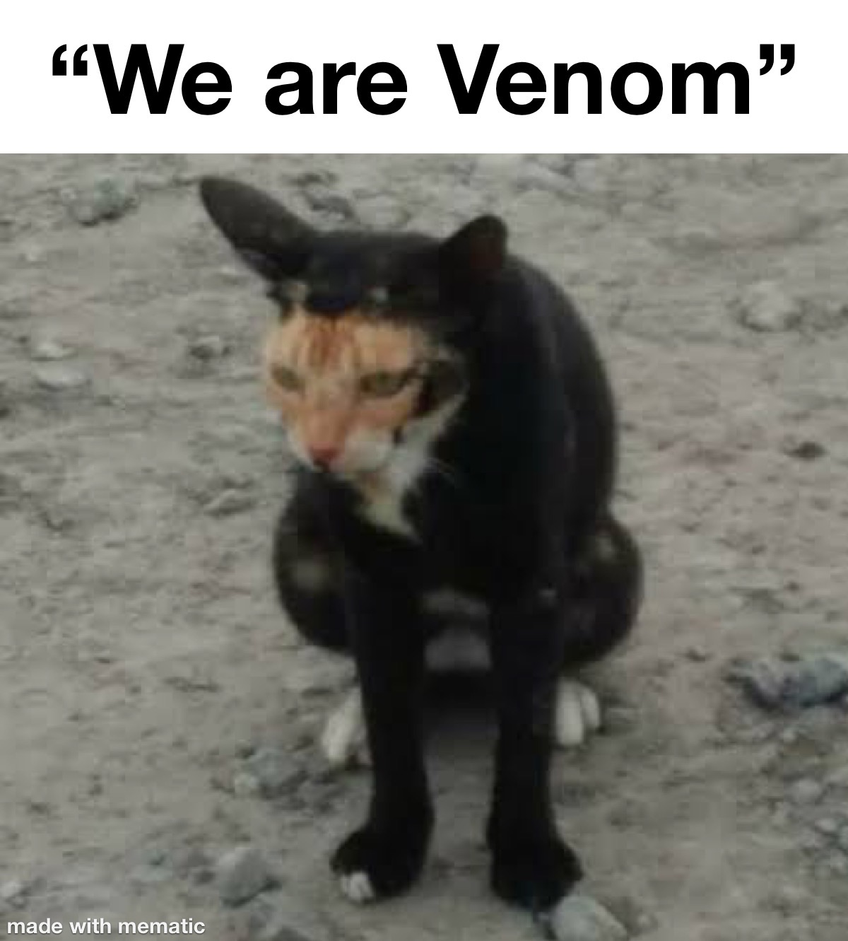 Venom Is Back 1 We are venom