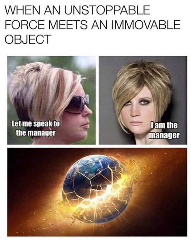 I'd Like To Speak To The Manager? 25 Funny Karen Memes 15 When an unstoppable force meets an immovable object meme