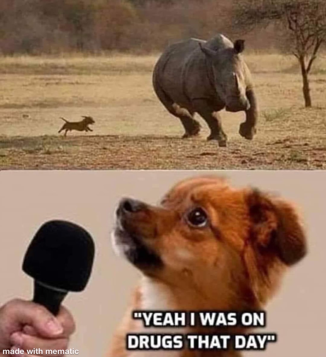 Sometimes The Drugs Brings Out The Beast In Us 1 Yeah I was on drugs that day meme