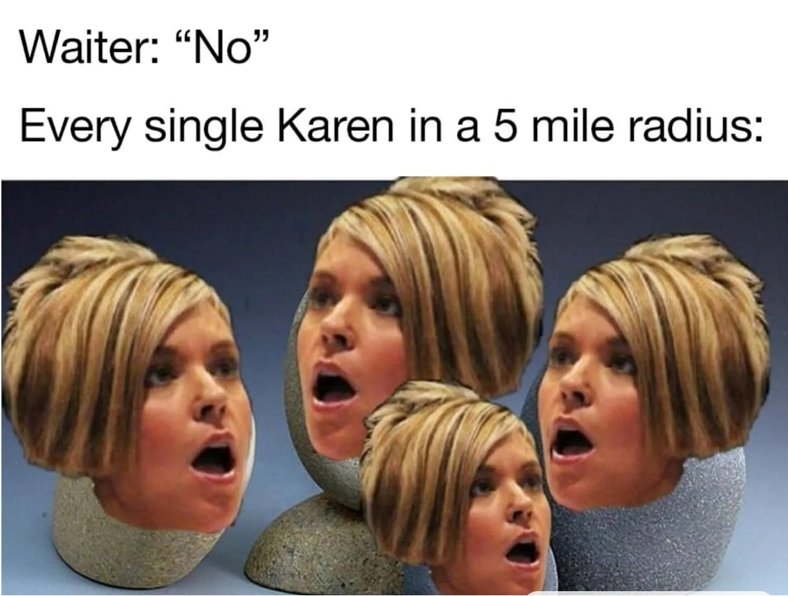 I'd Like To Speak To The Manager? 25 Funny Karen Memes 2 every single Karen in 5 mile radius