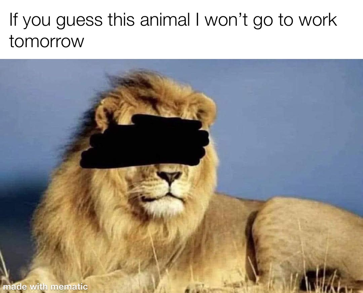 Please Guess The Animal - Funny