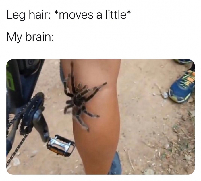 26 Funny "Brain Just Do It Memes" That Anyone With A Brain Will Relate To 8 leg hair moves a little