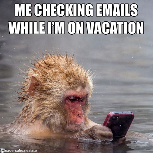 me checking my email on vacation