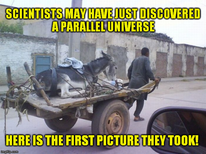 20 Best "Meanwhile In A Parallel Universe Memes" 13 scientists have discovered a parallel universe
