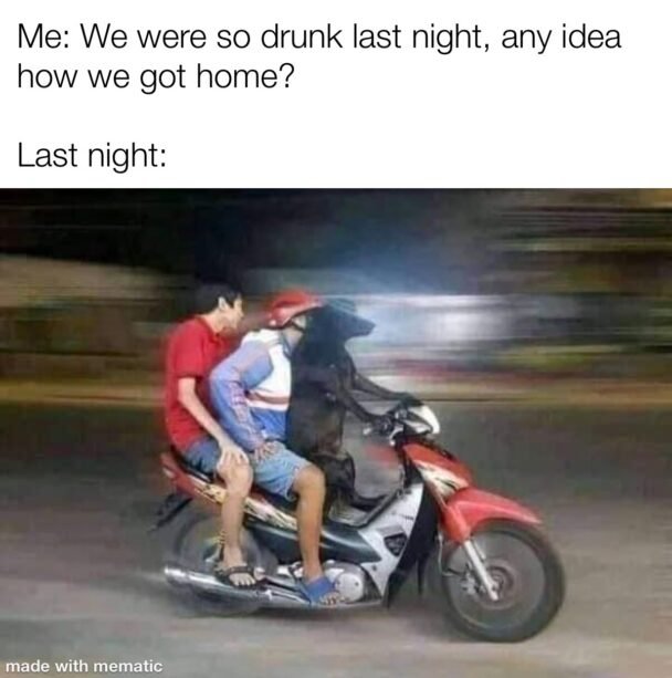 Drunk Last Night Memes Chameleon Memes