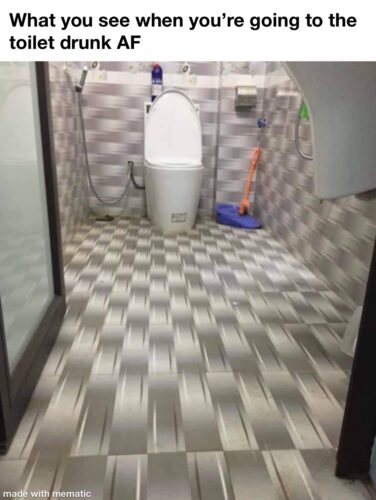 Whet You See When Your Drunk And Going To The Toilet 1 what you see when you're going to the toilet