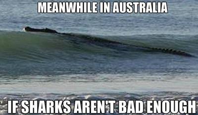 23 Bizarre "Meanwhile In Australia Memes" 4 when sharks aren't big enough - Meanwhile In Australia Memes