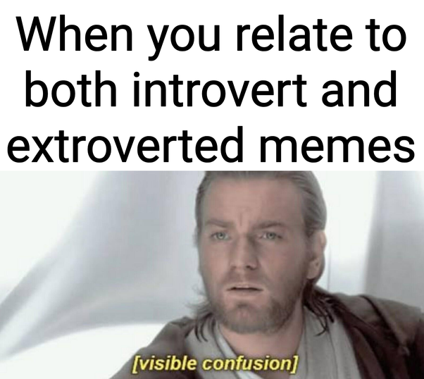 23 Introvert vs Extrovert Memes That Are Extremely Relatable 11 when you relate to both inrovert and extrovert memes