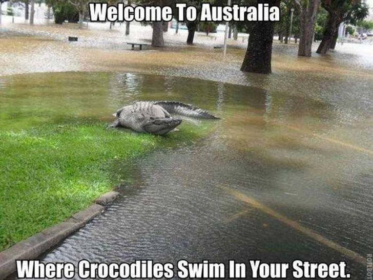 23 Bizarre "Meanwhile In Australia Memes" 1 where crocodiles swim in your streets - Meanwhile In Australia Memes