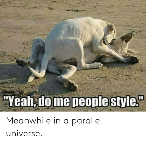 20 Best "Meanwhile In A Parallel Universe Memes" 16 yeah do me people style meme