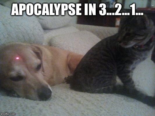 28 Cat Vs Dog Memes To Show Who Is Superior 3 Apocalypse in 3,2,1