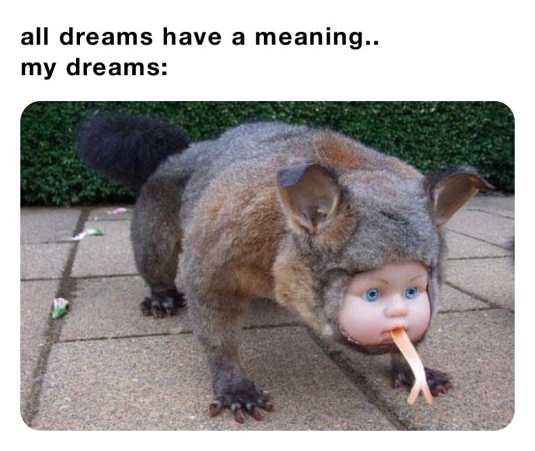 Fun Dreams 45 Funny Dream Memes That Proves Imagination Has No Limits - Funny
