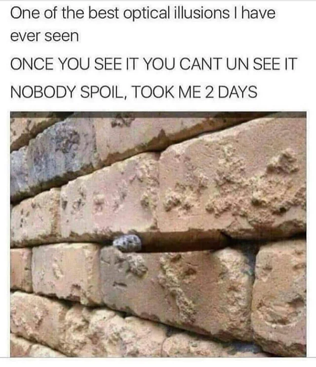 "Once You See It You Cant Unsee It" Moments That'll Make You Rub Your Eyes 8 Cigar stuck in wall