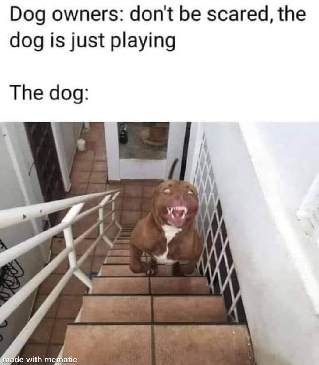 When You Don’t Wanna Play With The Scary Dog 1 Don't be scared of the dog he is just playing