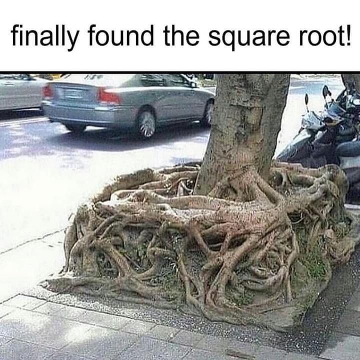 Finally Found The Square Root 1 Finally found the square root