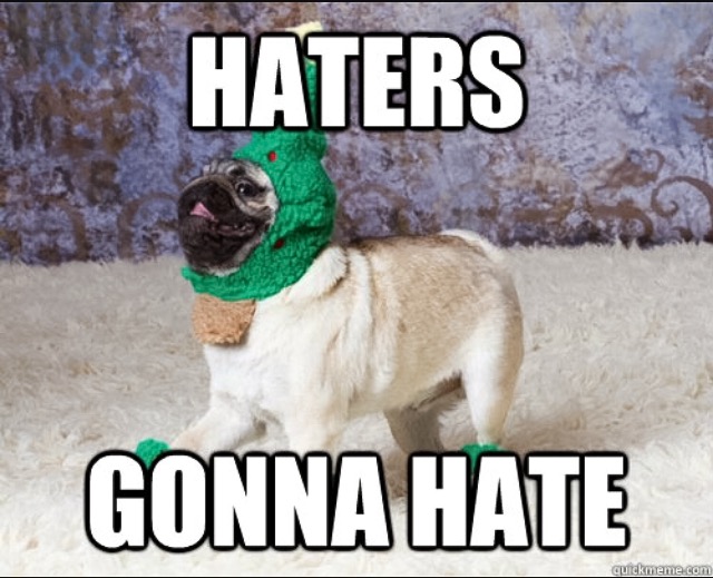 30 Funny "Dog Memes" That Will Surely Make You Smile 20 Haters gonna hate - dog memes