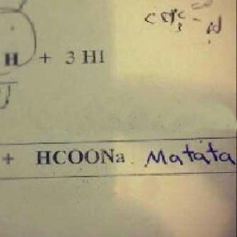 35 Funny Test Answers That Deserve An A+ For Humor 20 Hcoona matata