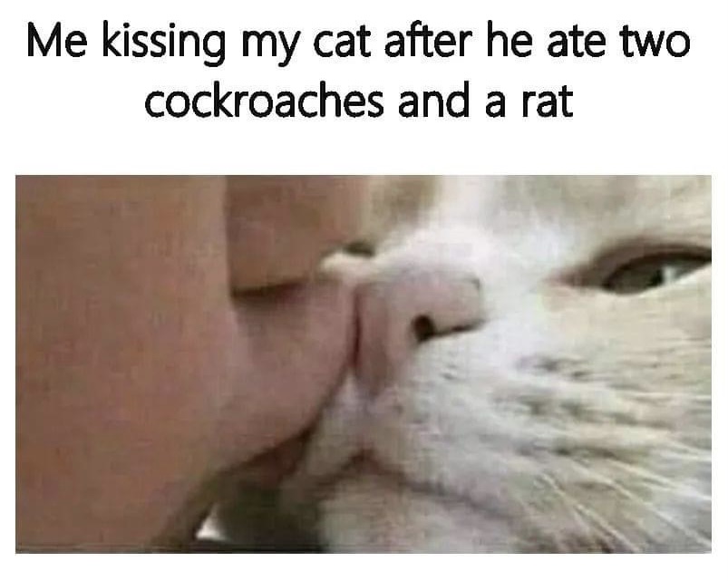 How To Reward Your Cat 1 Me Kissing my cat after he ate two cockroaches