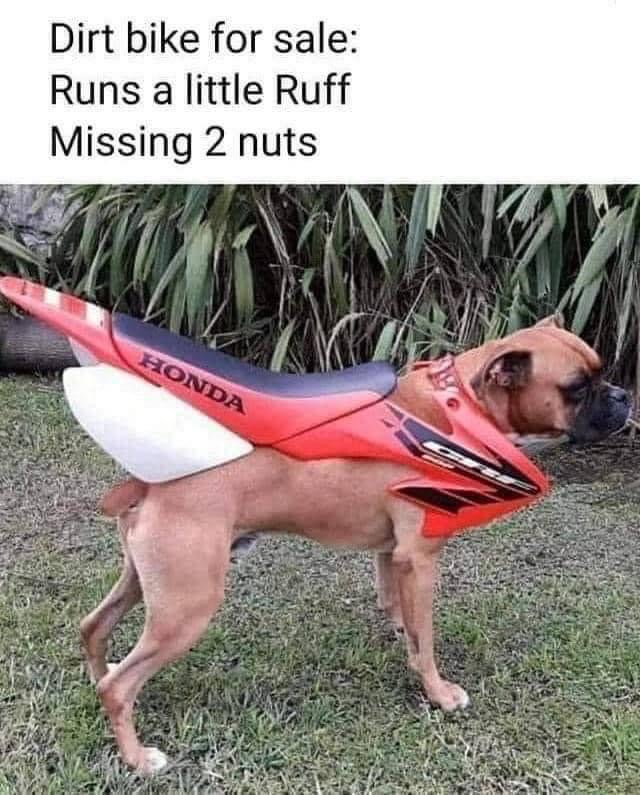 Dirt Bike For Sale 1 Dirt bike for sale