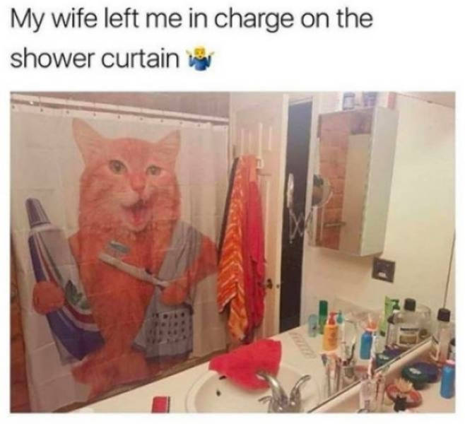 40 Married Memes That Unveils The Secrets Of Married Life 14 My wife left me in charge of the curtains