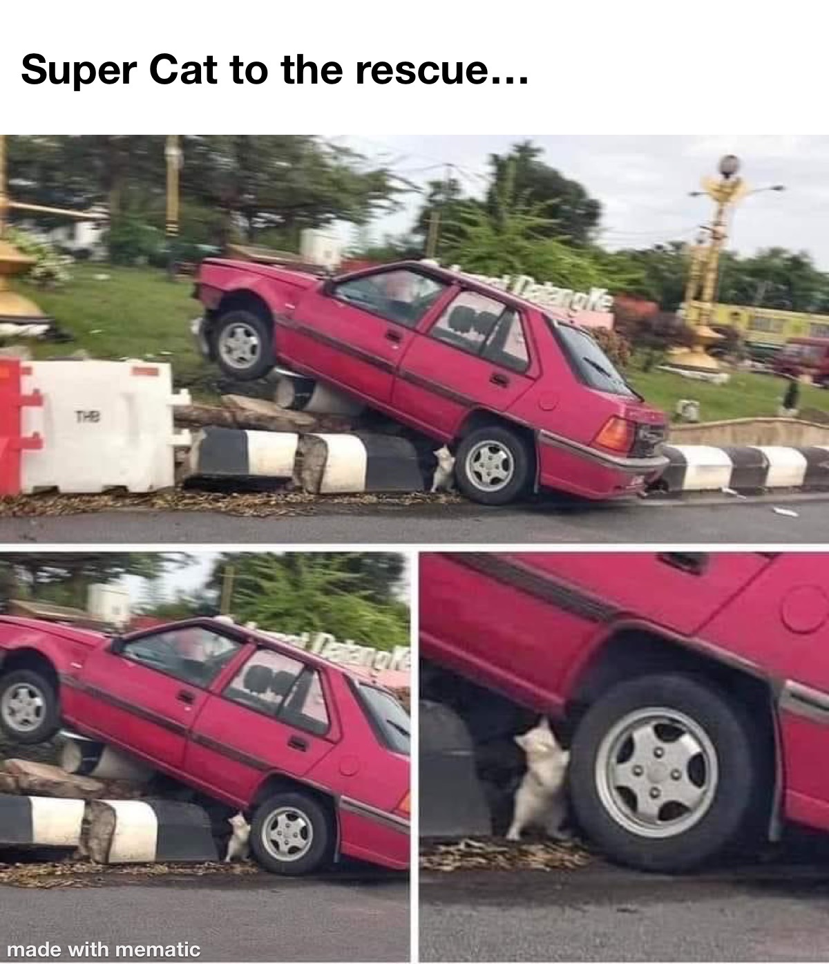 Super Cat To The Rescue 1 Super Cat To The Rescue meme