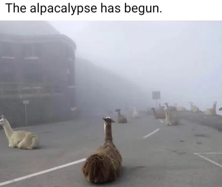 The Apocalypse Has Started 1 The apocalypses has begun