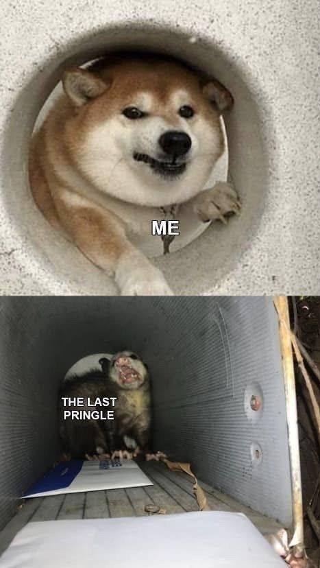 21 Funny "The Struggle Is Real Memes" That'll Make Your Day Struggle Free 13 The last pringle