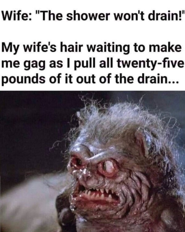 40 Married Memes That Unveils The Secrets Of Married Life 19 The shower wont drain